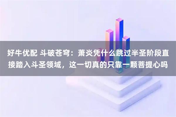 好牛优配 斗破苍穹：萧炎凭什么跳过半圣阶段直接踏入斗圣领域，这一切真的只靠一颗菩提心吗