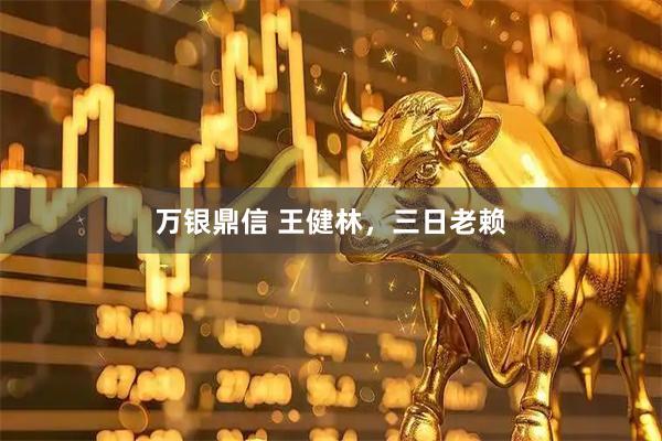 万银鼎信 王健林，三日老赖