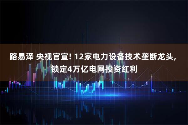 路易泽 央视官宣! 12家电力设备技术垄断龙头, 锁定4万亿电网投资红利