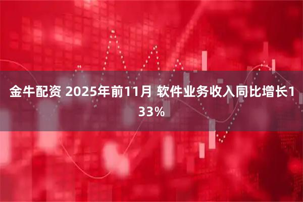 金牛配资 2025年前11月 软件业务收入同比增长133%