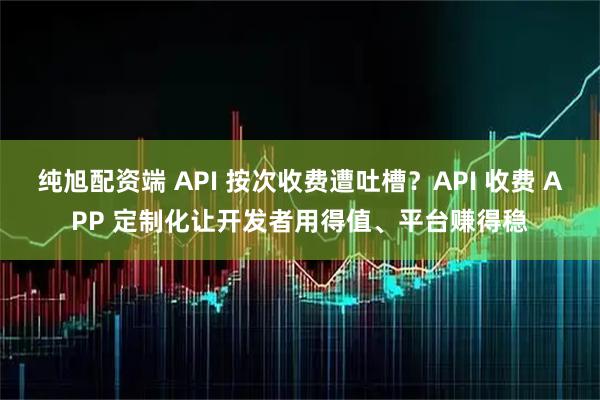 纯旭配资端 API 按次收费遭吐槽？API 收费 APP 定制化让开发者用得值、平台赚得稳