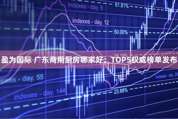 盈为国际 广东商用厨房哪家好：TOP5权威榜单发布