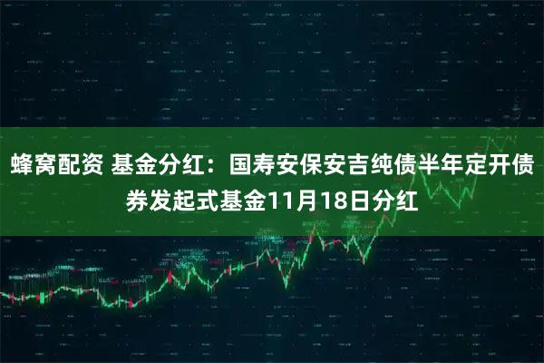蜂窝配资 基金分红：国寿安保安吉纯债半年定开债券发起式基金11月18日分红